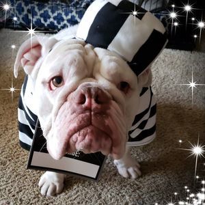 Meet your Posher, Karin